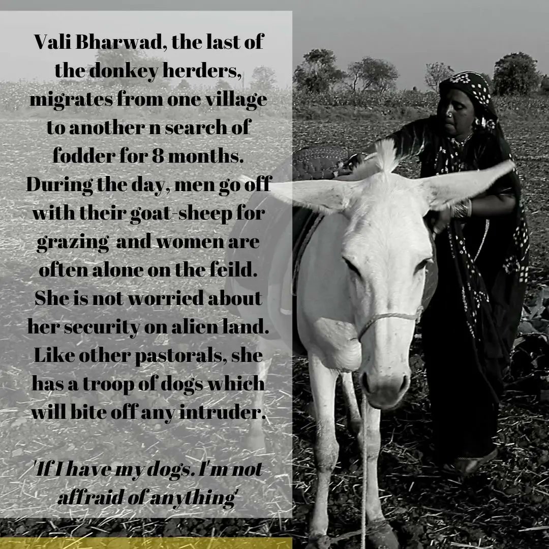 sahjeevan_'s tweet photo. 9th August is recognised and celebrated as International Day of the World's Indigenous People. Let us hear from some of the indigenous young women pastorals from #India

#WorldIndigenousPeoplesDay #WorldIndigenousDay https://t.co/XxUjcTnsAH