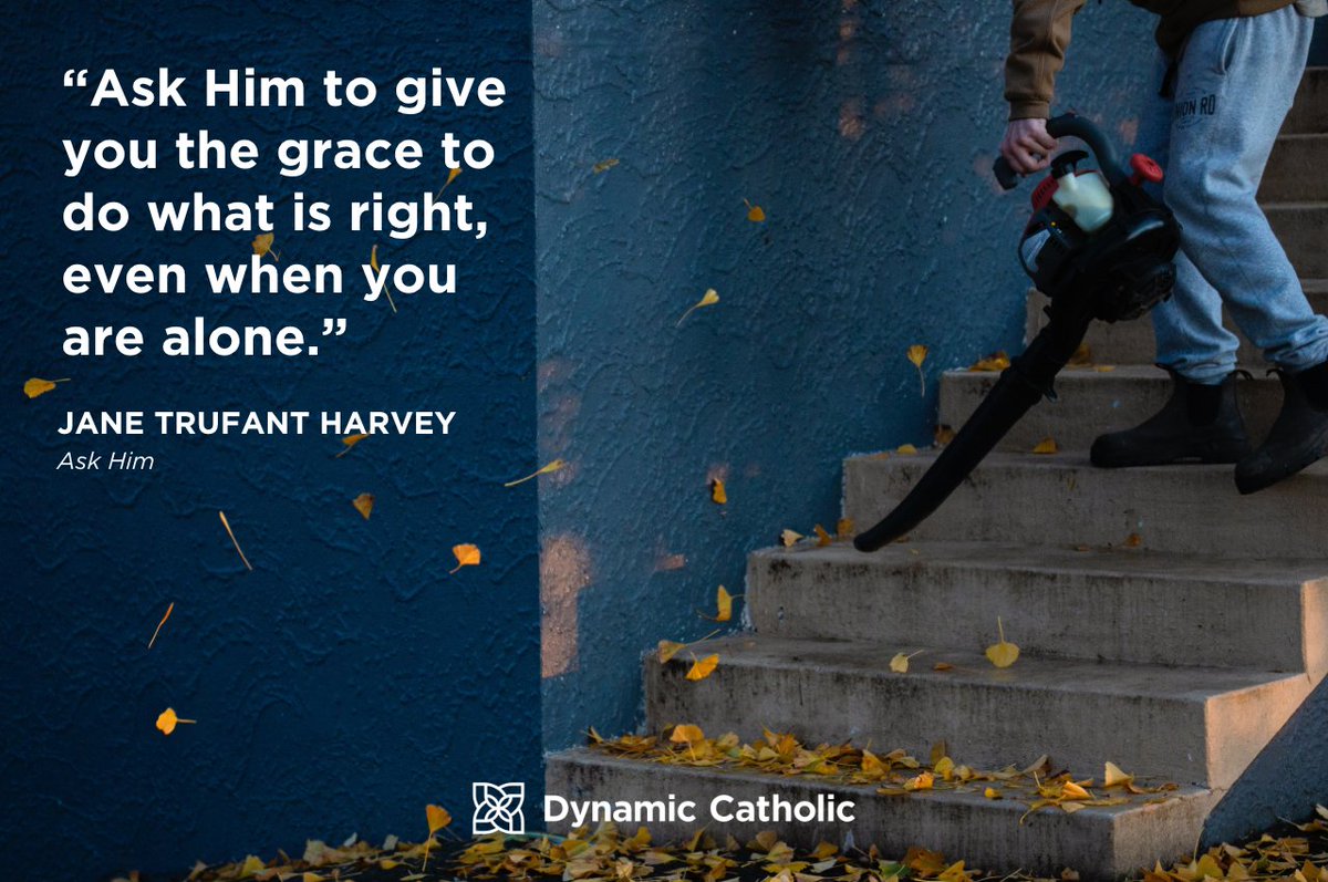 Dynamic Catholic tweet media