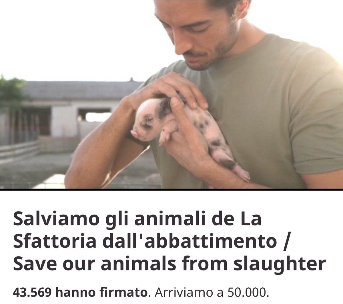 WAL_Italia's tweet photo. Non si può tralasciare indisturbato questo modo di imporre la morte a delle Creature sane e che ora sono serene e tranquille perché gia in passato strappare alla morte !
✍🏼 Firma anche tu,

La Sfattoria Degli Ultimi deve VIVERE e Non MORIRE !
https://t.co/U6ptd60ulo https://t.co/EgIZOENoJh