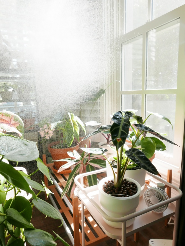 EricaKruse11's tweet photo. The first ray of sunlight in the morning shines through the window. I know it's going to be a great day for me. https://t.co/4ywD2hhbrB