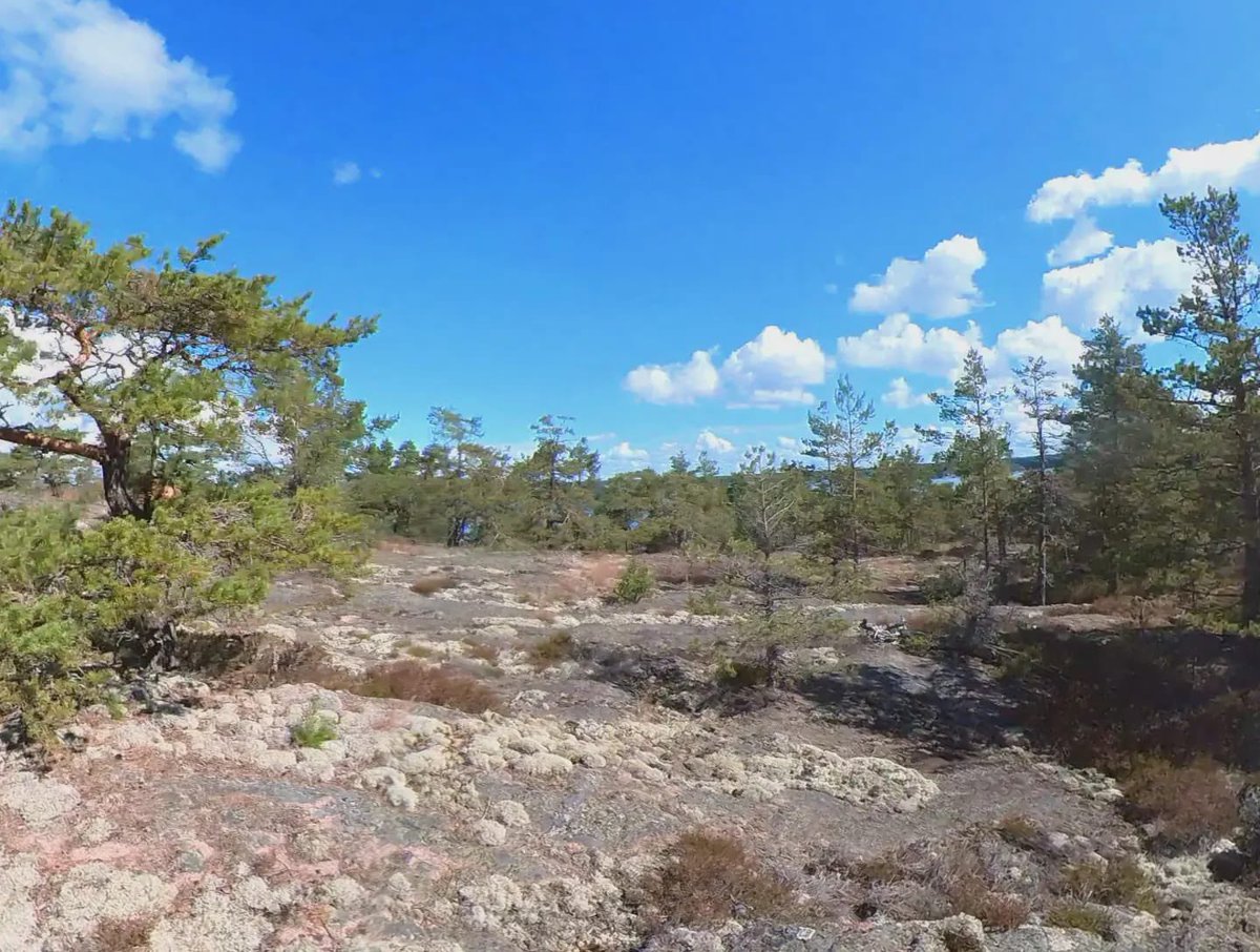 PIF-Orientering tweet media