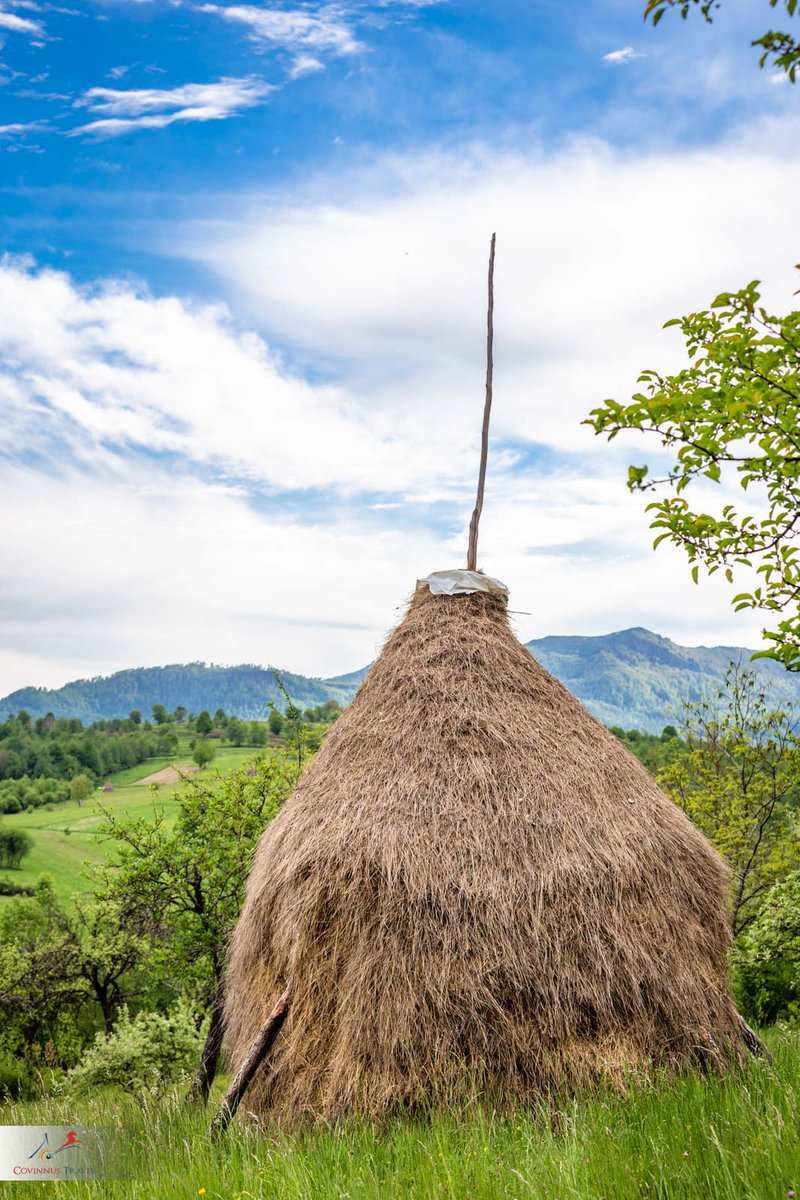 covinnus's tweet photo. The haystacks of #Maramures are a tourist attraction for foreign visitors and a way of living for the locals.

#Romania #tours #toursofRomania #travel #phototours #summer #rural #landscapephotography #CovinnusTravel https://t.co/rSW9WQ5CEp
