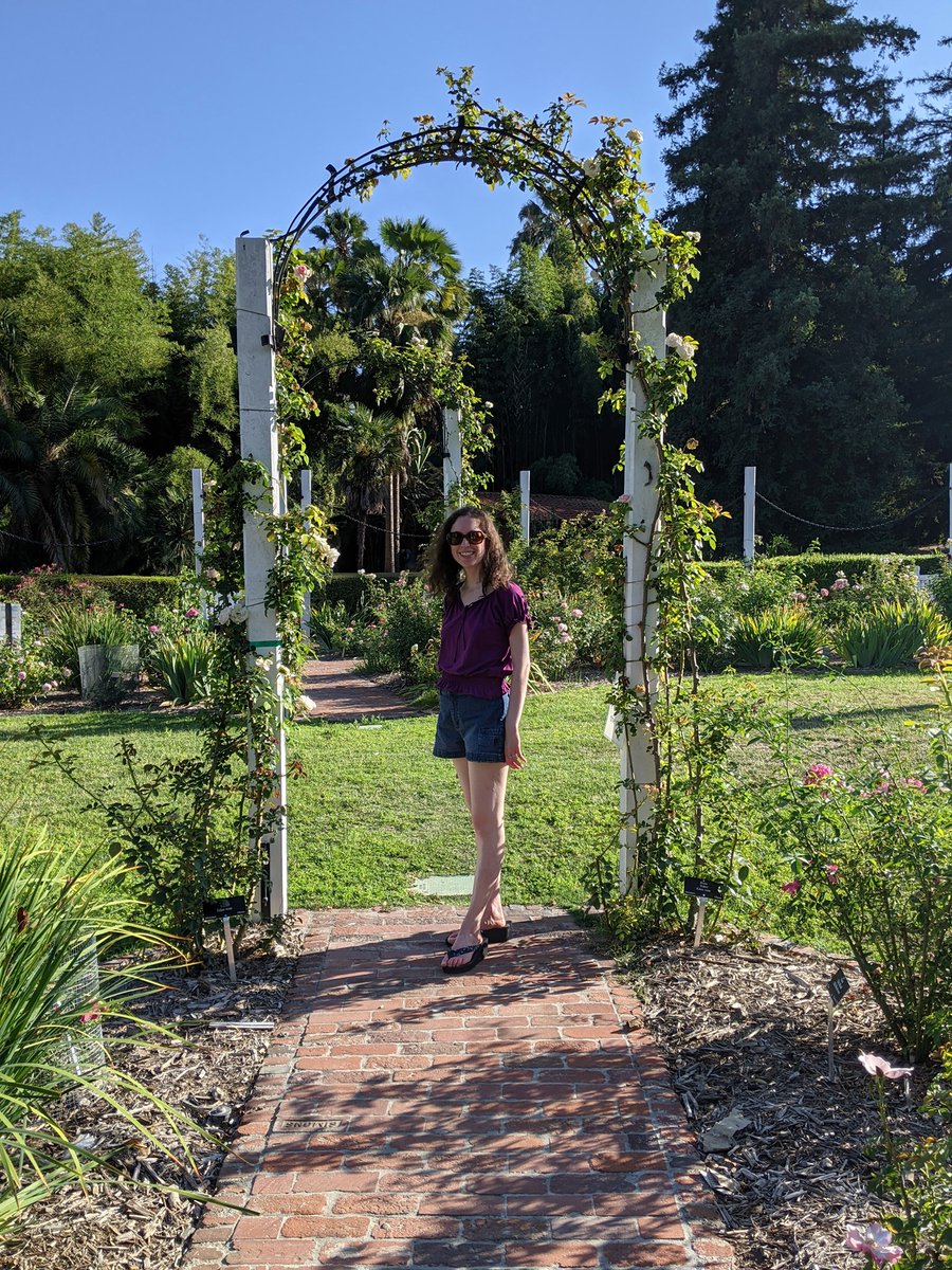 novelist_gina's tweet photo. Why, yes, I will get excited if I find a rose garden! 😊 ESPECIALLY one with an arch that makes me think of tales of yore . . . ❤️
#rose #rosearch #rosegarden #roses #summer2021 #adventuring #fairytales #beautyandthebeast #summer https://t.co/r902u0571E