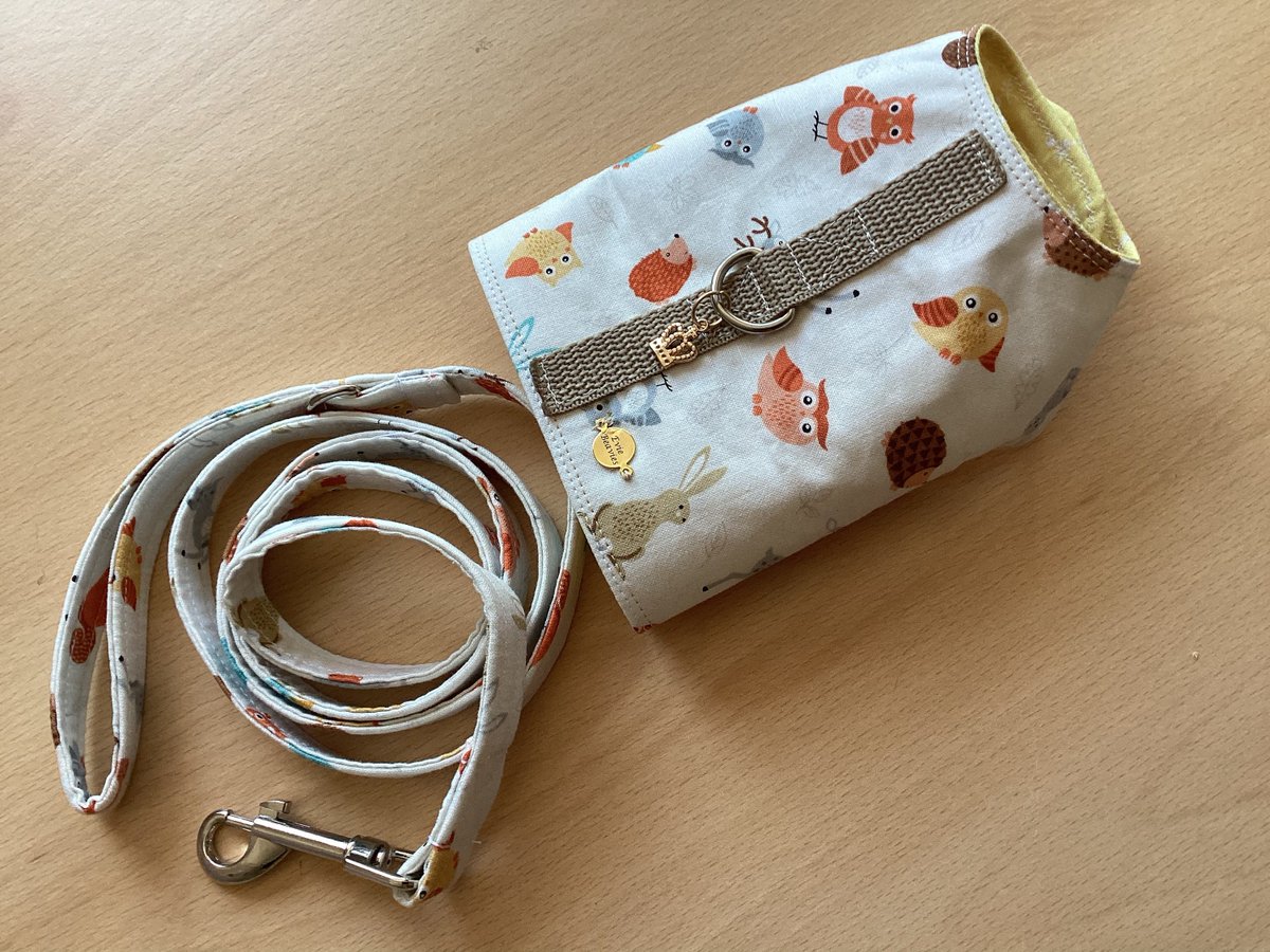 Fineequine1's tweet photo. Excited to share the latest addition to my #etsy shop: XXS Dog puppy harness and leash lead cat harness Autumn design crown charm https://t.co/Nx8ldOuzKm #beige #gold #hookloop #cat #withlovebyeviebeavie https://t.co/EAudQDRGVd