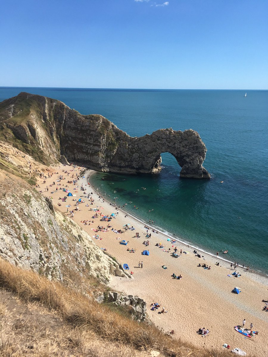 geoCcycle's tweet photo. Holiday pics from a fantastic week w friends in #Dorset. Incl. exploring a #fossilforest and a bonus Jurassic #soil https://t.co/fRedYZsgEs