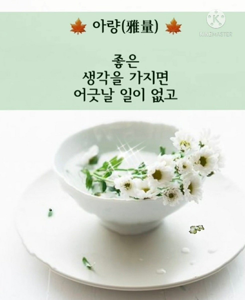 steptouch12 tweet picture