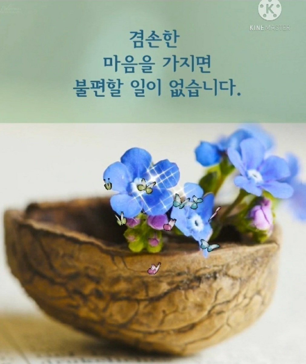 steptouch12 tweet picture