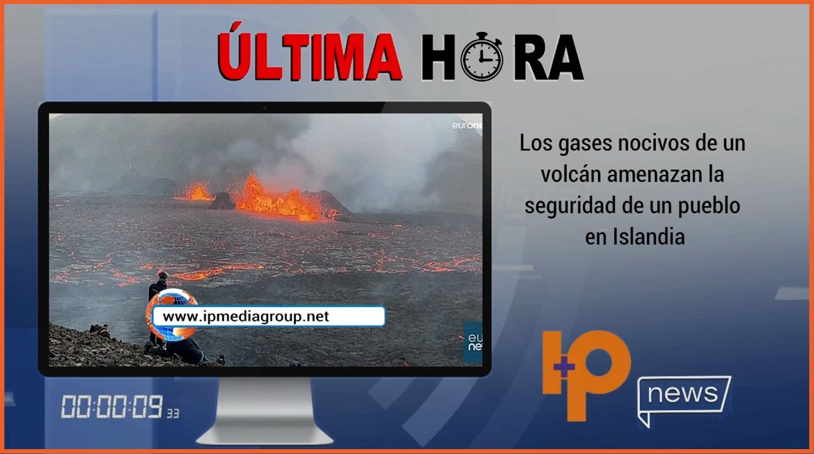 IP Televisión Digital tweet media