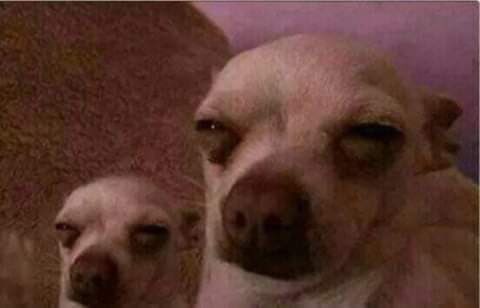 يكونش انا مايؤذيني