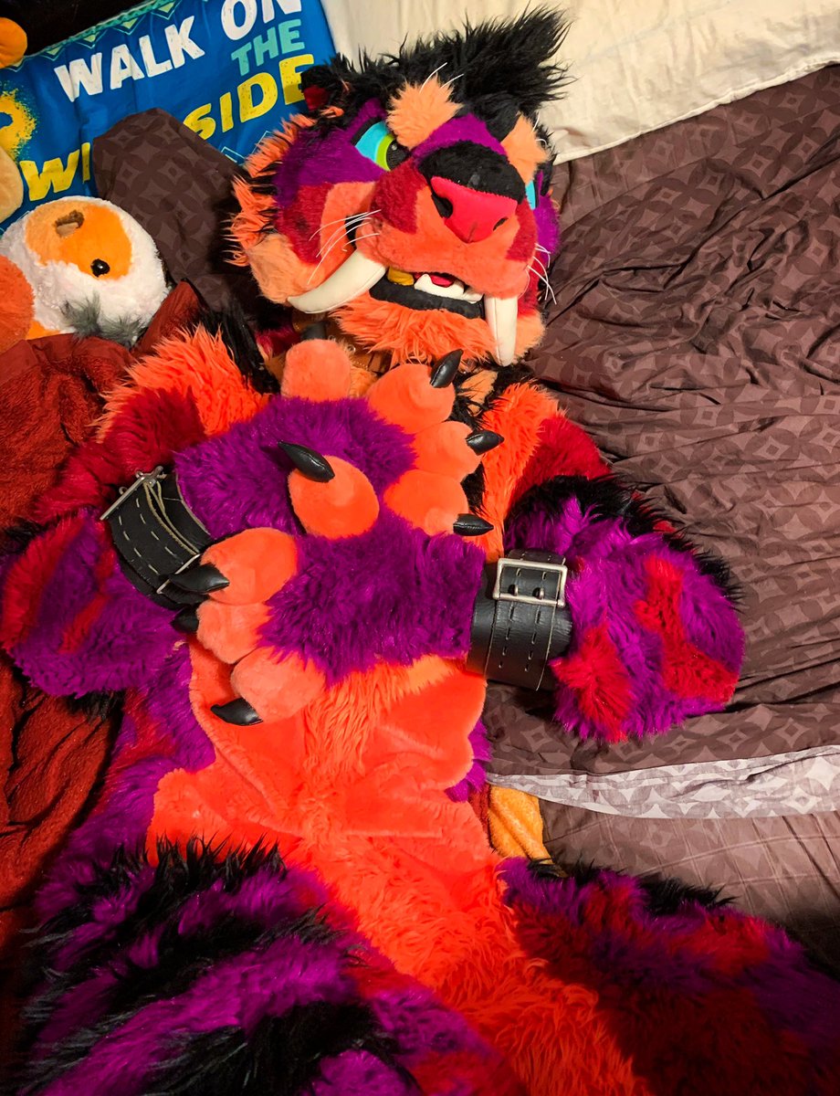 DieterDoberman's tweet photo. My kitty spent International Cat Day a bit tied up
Anyone want a turn with @bottomtoof next? https://t.co/zjxpavAM8w
