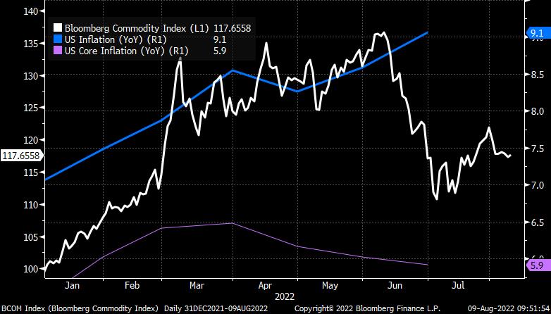 Market remain braced for Wednesday inflation figures. Commodity prices have eased since peaking in June. Will US inflation do the same?

Read more on our blog: lnkd.in/evTqTFuf

#inflation #gbpusd #commodities #dollarindex #dollar