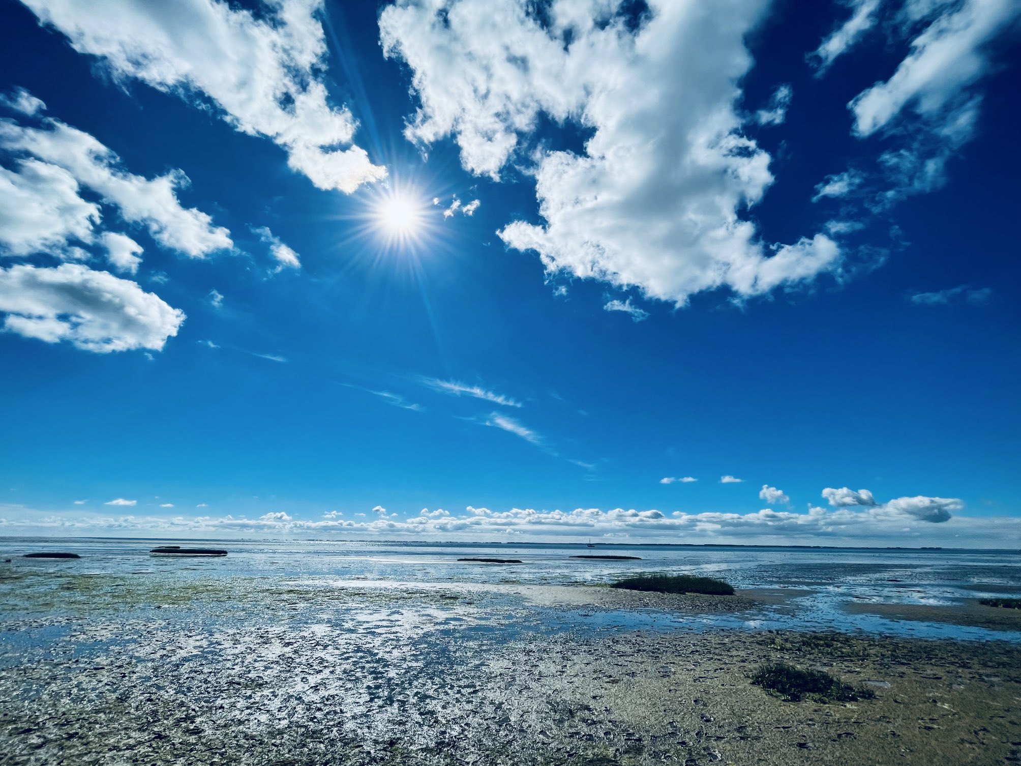 Chris.Talsma on Twitter "Waddenzee Schiermonnikoog https//t.co