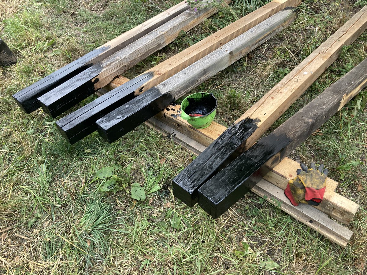 Been prepping for the new and improved woodshed… Alma is more interested in wasps.