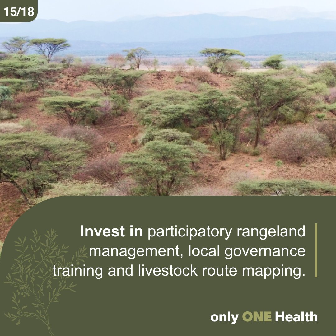 ILRI's tweet photo. 7/10 Invest in participatory rangeland management, local governance training & livestock route mapping.
💡This will improve the productivity & health of rangeland communities which can then better cope with environmental threats & protect their natural resources.
#onlyONEhealth https://t.co/yuP4CsztcO