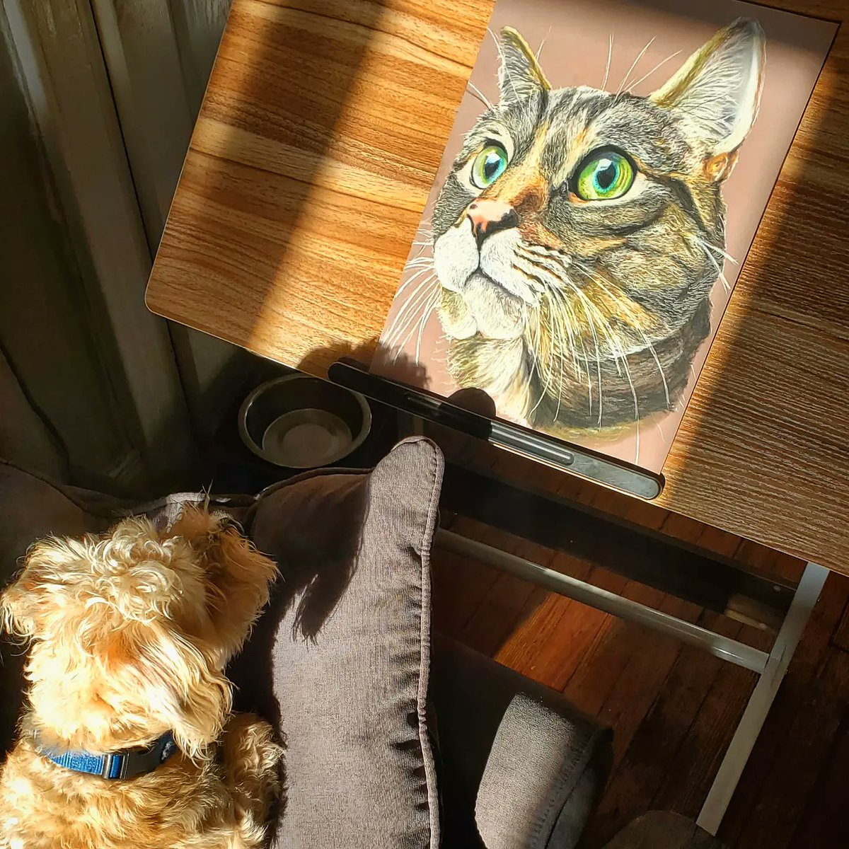 johnnerdraws's tweet photo. @rickygervais Happy International cat day with love from one rescue to another. 😺 🐶
Dedicated to the most beautiful cat on the internet. Pickle .
Always flattering when Bronson barks at my portraits . Best boy .

😺 Pickle

⏳ 8 hours

📏 12"× 16" https://t.co/x09N6FOFBS