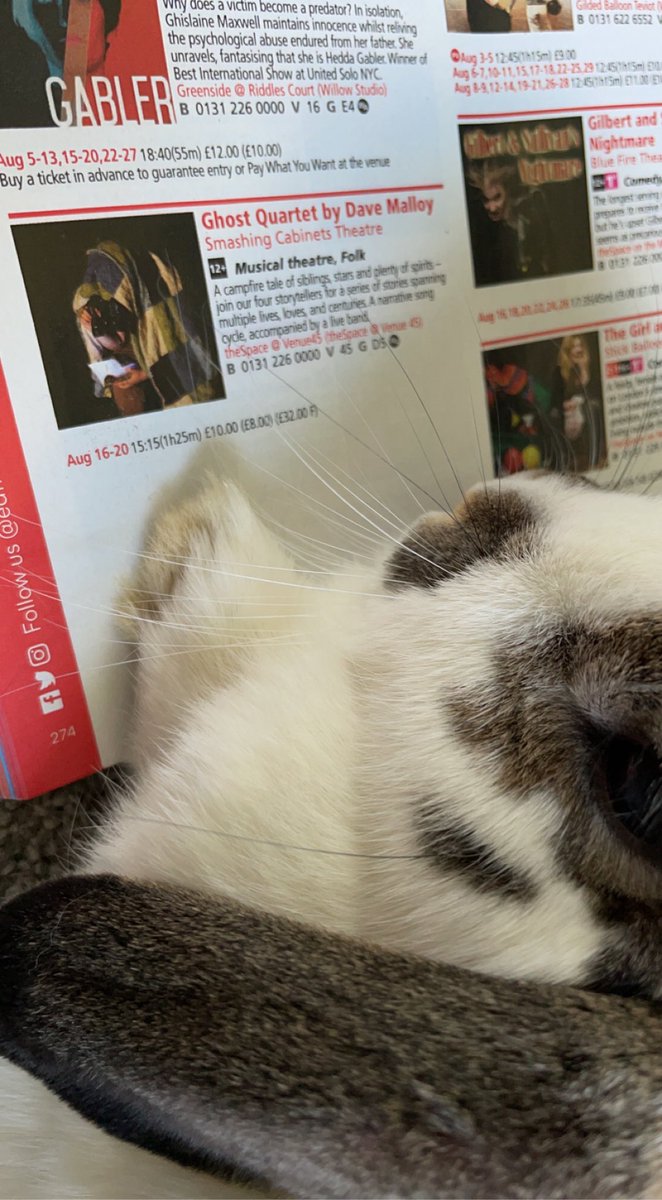 smashingtheatre's tweet photo. #petswithprogrammes #edfringe - Luna and Pea highly recommend Ghost Quartet by Dave Malloy, but also had a nice long browse of all the other fantastic shows on at this year’s @edfringe 👻🤍🐰
https://t.co/AkqWFkzDTp https://t.co/uyijoQkJmw