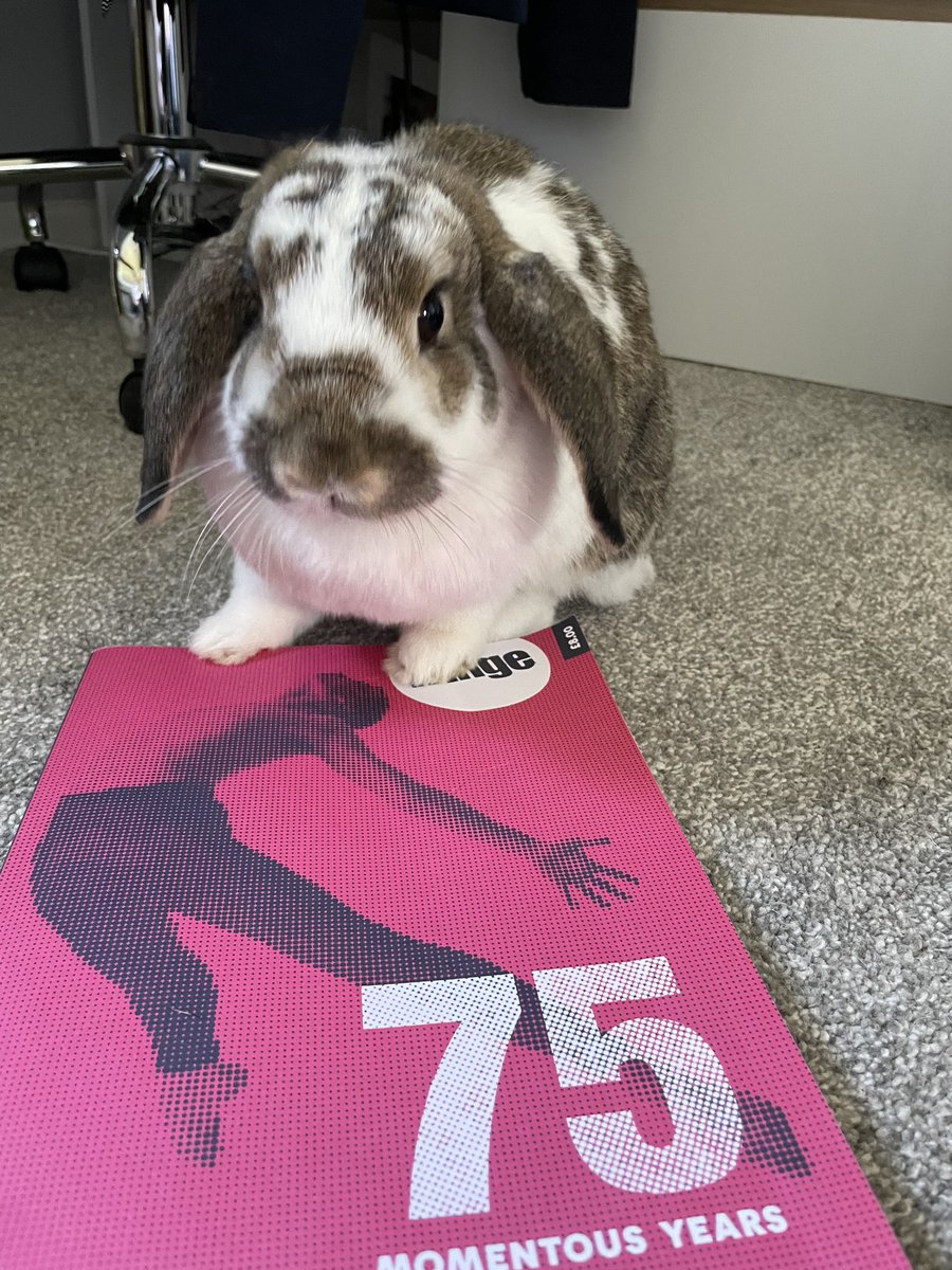 smashingtheatre's tweet photo. #petswithprogrammes #edfringe - Luna and Pea highly recommend Ghost Quartet by Dave Malloy, but also had a nice long browse of all the other fantastic shows on at this year’s @edfringe 👻🤍🐰
https://t.co/AkqWFkzDTp https://t.co/uyijoQkJmw