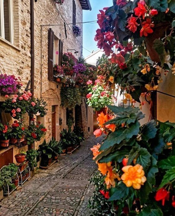 A pleasant afternoon