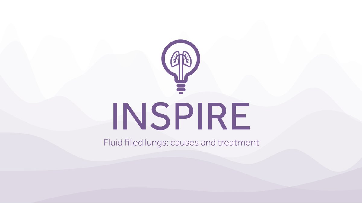 EakinResp's tweet image. 𝙄𝙣𝙨𝙥𝙞𝙧𝙚 blog #4 considers the causes and treatment for #fluidfilledlungs 💧
&apos;CPAP works to re-recruit the areas of lung tissue that cannot participate in gas exchange due to the presence of fluid.&apos;
Learn more: armstrongmedical.net/news/what-caus…

#InspireBlog #CPAP #PulmonaryOedema