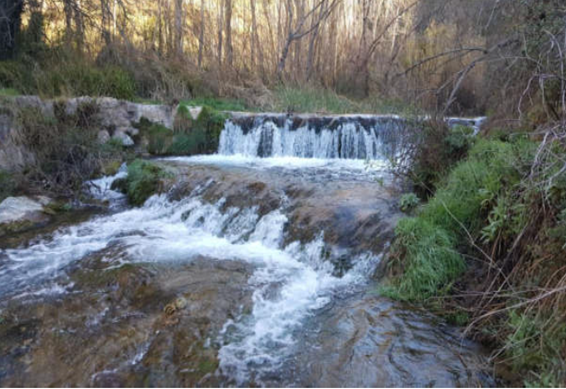 CHJucar's tweet photo. #FishWay #FishLadder
En el azud Fuente del Nano, en Teresa, Castellón, vamos a realizar próximamente una actuación piloto de construcción de una 🪜 #RampaParaPeces 🐟🐟🐟
Facilitará sus movimientos migratorios, y mejorará la conectividad longitudinal del #RíoPalancia https://t.co/TWz5Gcm8iV