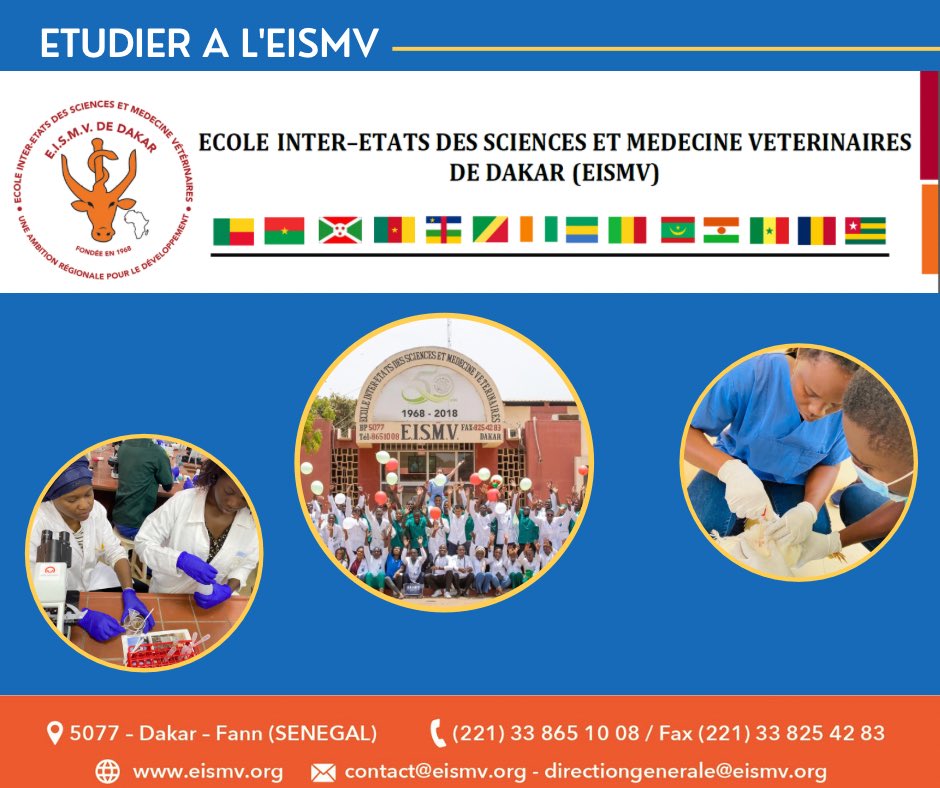 EISMV de Dakar tweet media