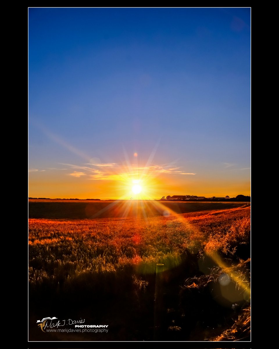 Mark J Davies Photography tweet media