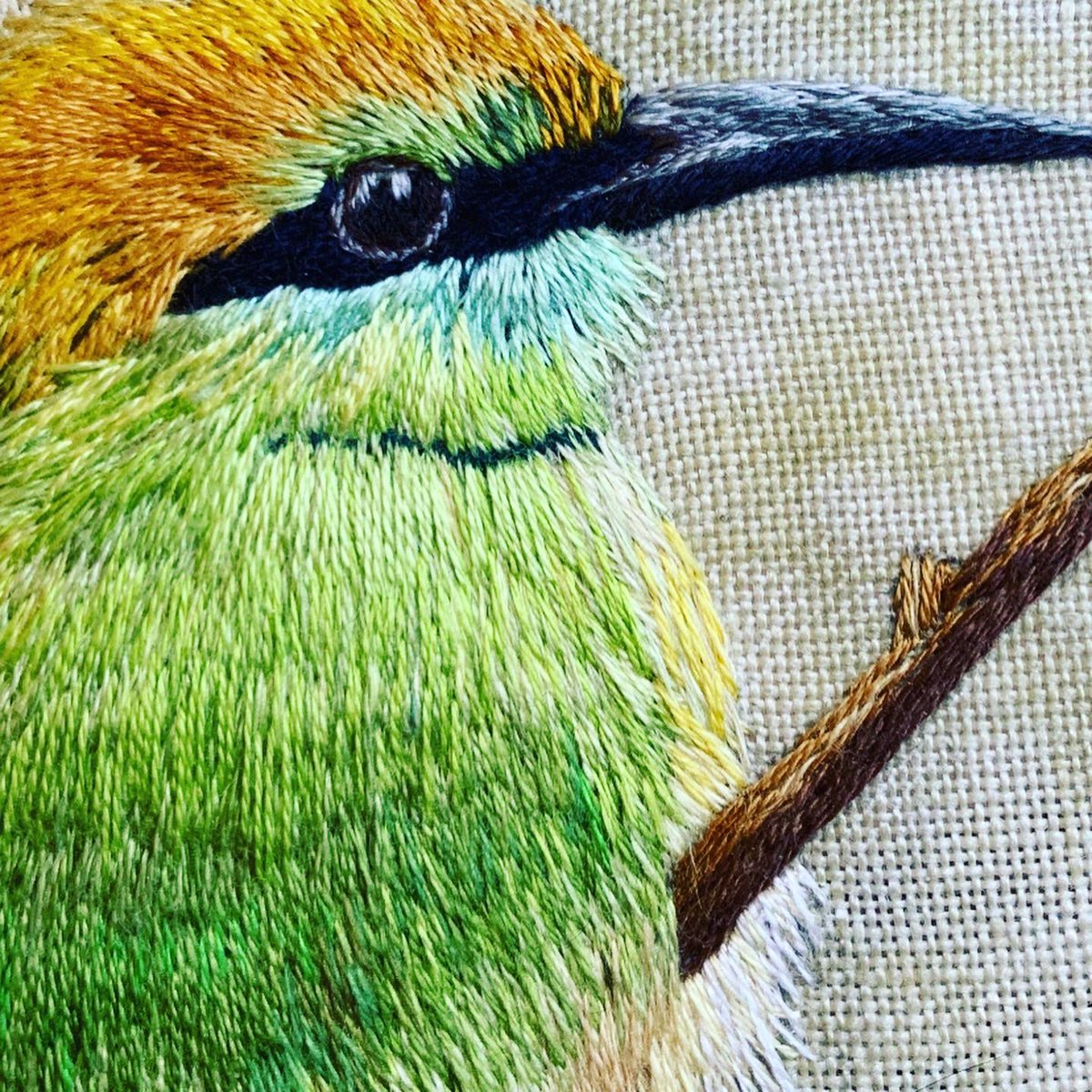 My Little Green Bee Eater embroidery. Hand stitched using Cosmo Stranded Cotton. Took around 50 hours to make. 
Based off picture by basu.rajiv who so kindly allowed me the use of his amazing photograph.
#Handmade #embroidery #Stitch #birdslover #needlepainting