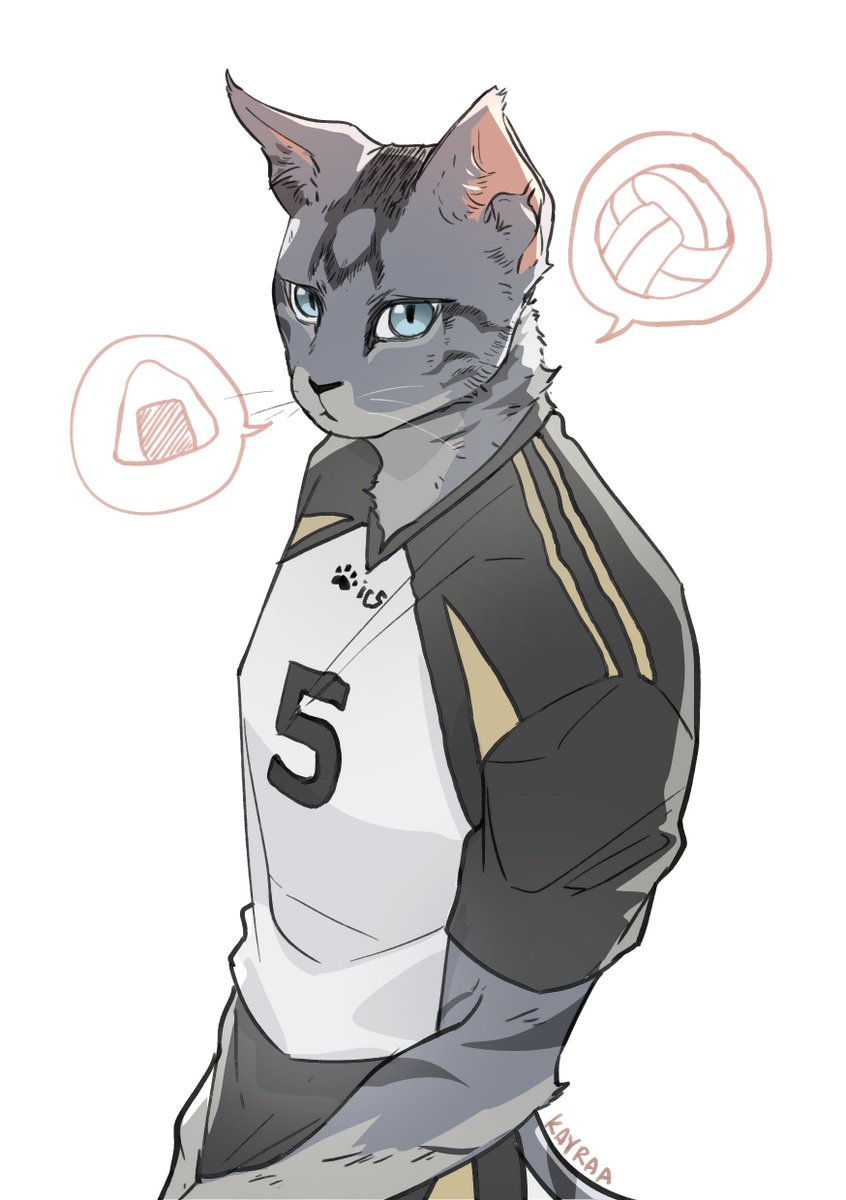 neko akaashi 