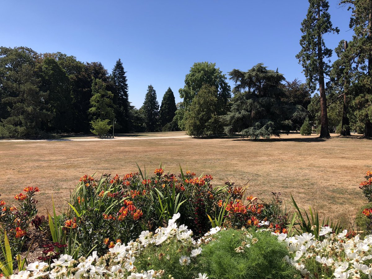 cargamax tweet media