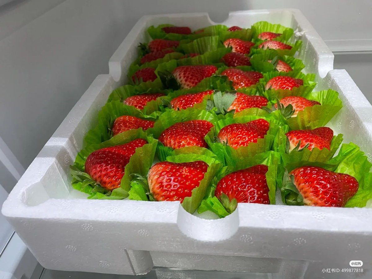 Kurena290701's tweet photo. Strawberries heal everything. https://t.co/vynk3wmB0u