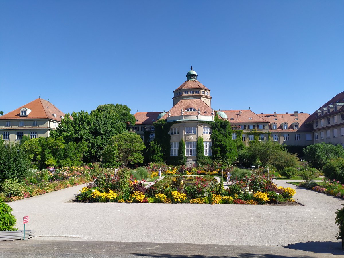 Horti_Tim's tweet photo. This trip has broadened my understanding of alpines but I also found myself often wanting to start messages with 'not usually a fan of...' I realise now my perspective has been broadened by @botmuc #schachen and @MerlinTrust. 
For today's 'not usually a fan of'... annual planting https://t.co/IHJLhmwobE