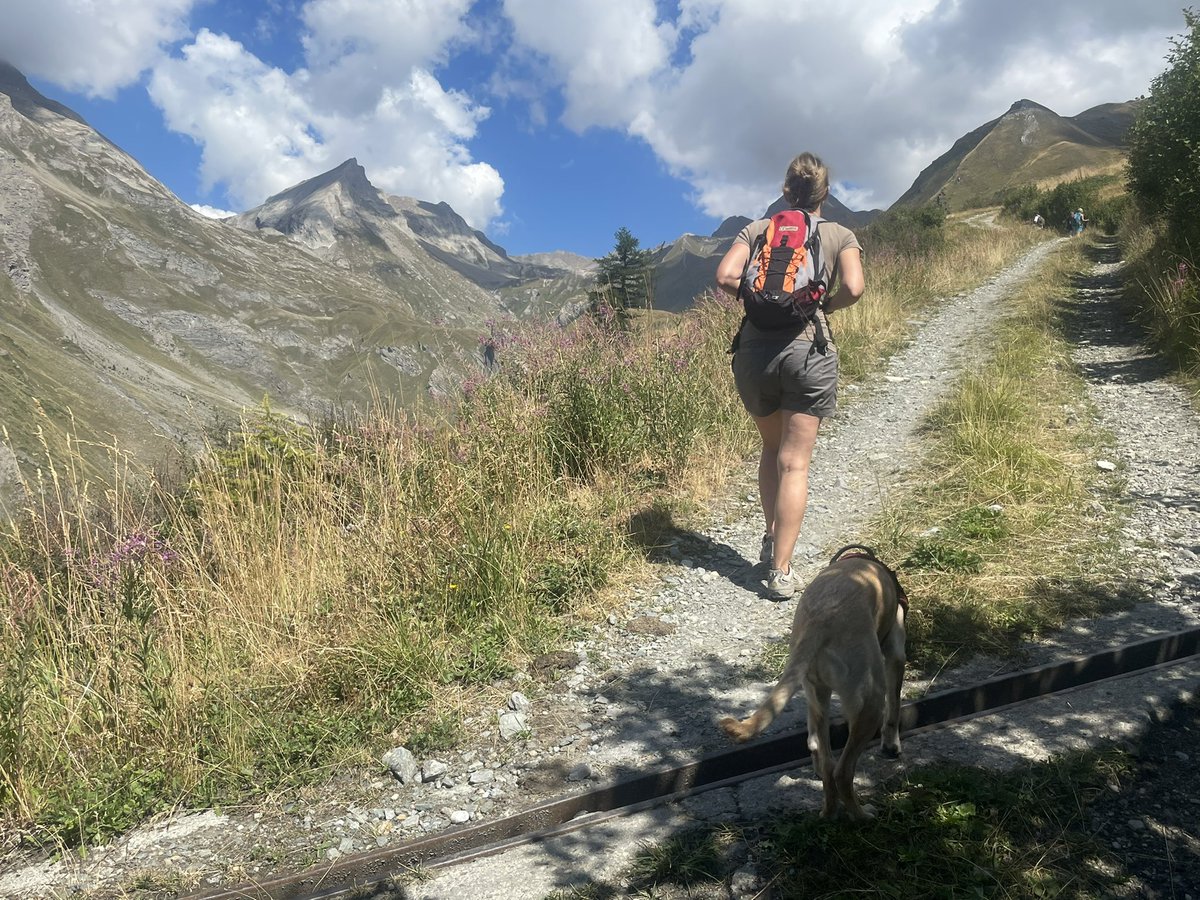 Kira corre libera e felice tra le montagne valdostane, noi ansimiamo🤣🤣🤣