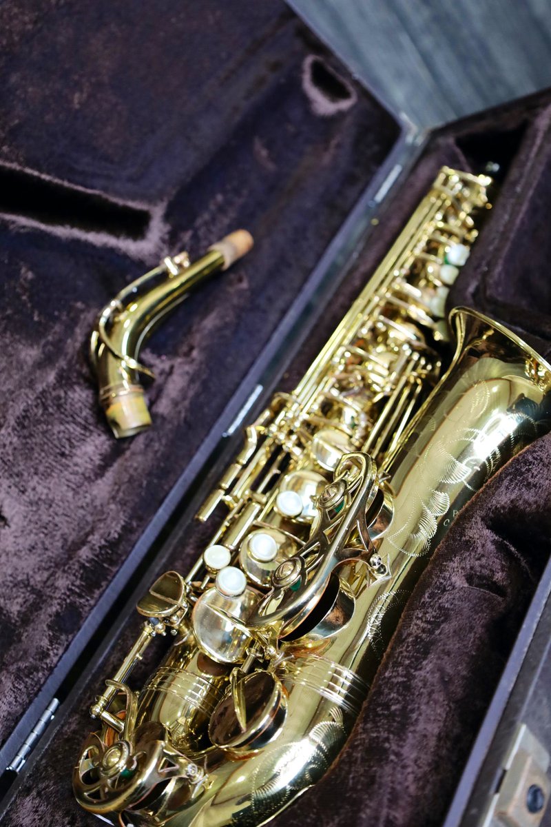 MOUTON Used Selection tweet media