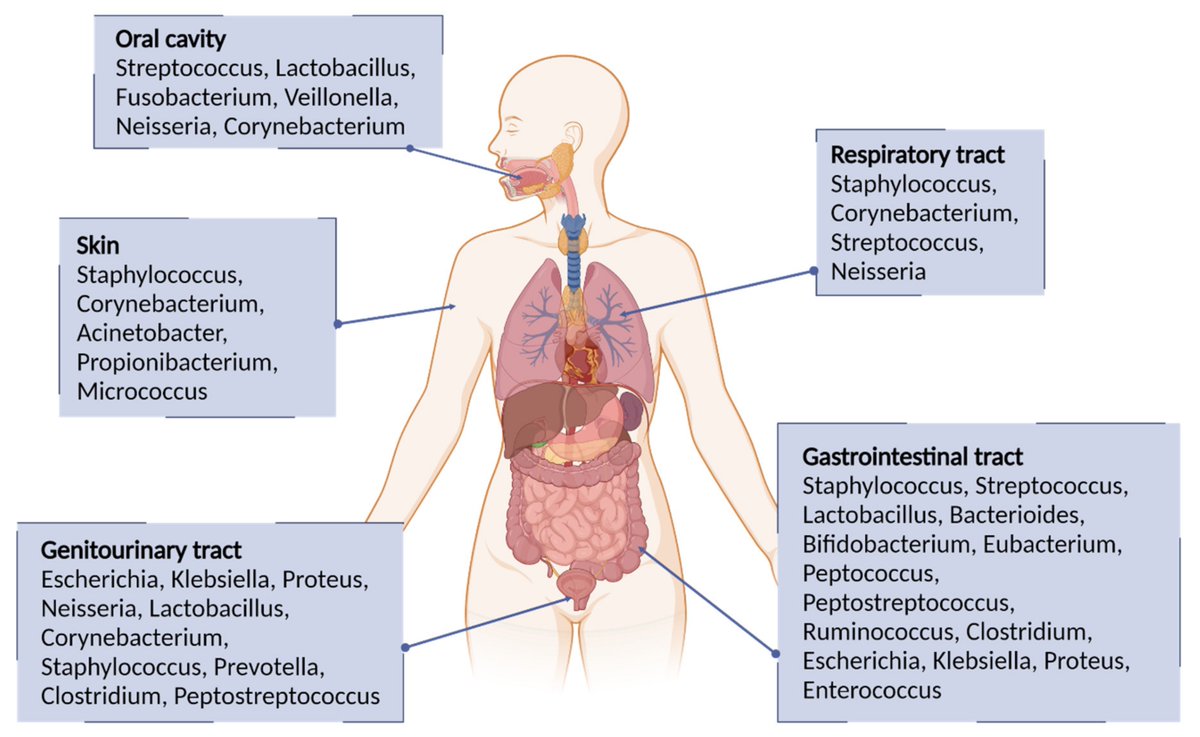 Pharmaceut_MDPI's tweet photo. @FedericoRiu et al. #RecentlyPublished #review "#Antibiotics and #Carbohydrate-Containing Drugs Targeting #Bacterial Cell Envelopes: An Overview"

Full text is available at:
👉https://t.co/YtslXtiszV https://t.co/KrbcromkDd