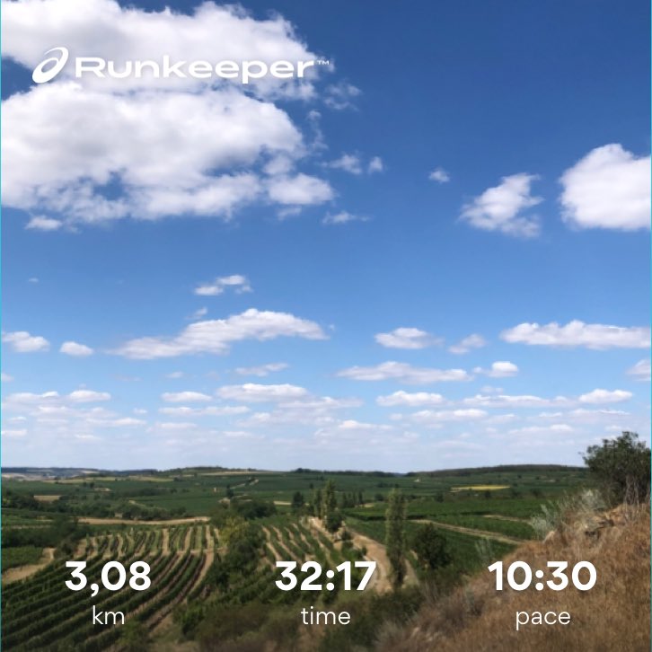 rapidhammer's tweet photo. Vineyard run @runkeeper #Röschitz #hotrunning https://t.co/IU4bAlxQ0k