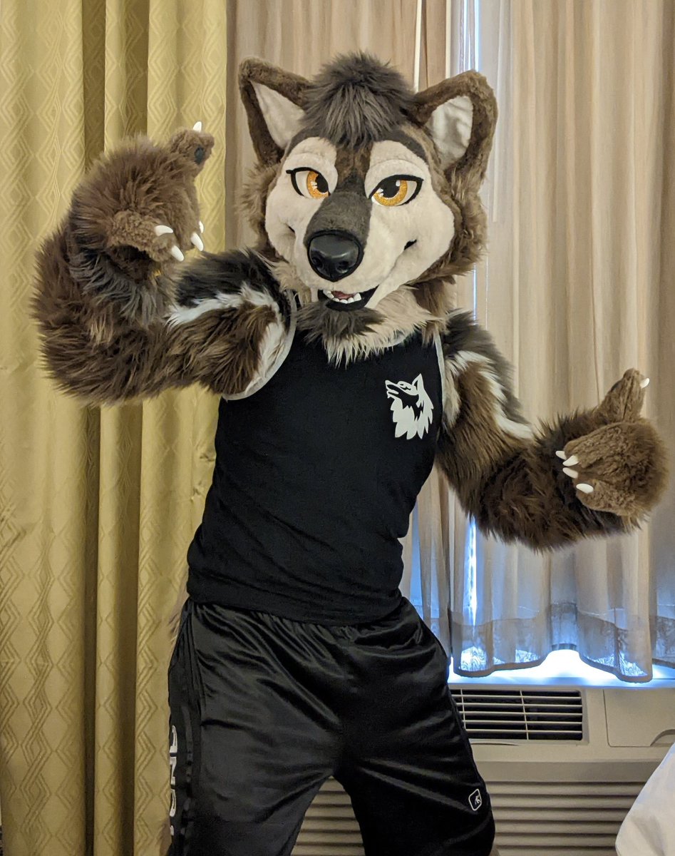 LucasWuff 🔜 AC tweet media