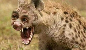 ConquerHlulani's tweet photo. @IsMeEmmanuel 🤣😂😅 https://t.co/LLy8ffKgui