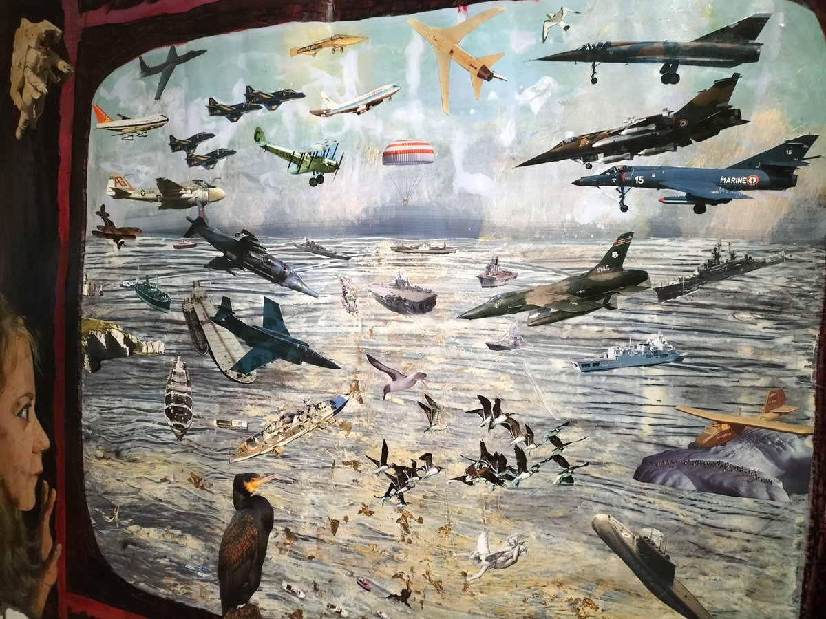 Glenn Benson FLS 🦤🪴🍄🦠🧫 tweet media