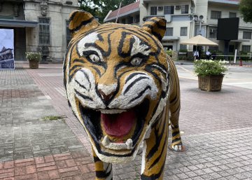 Glow up': Reactions to upgraded UST tiger statue