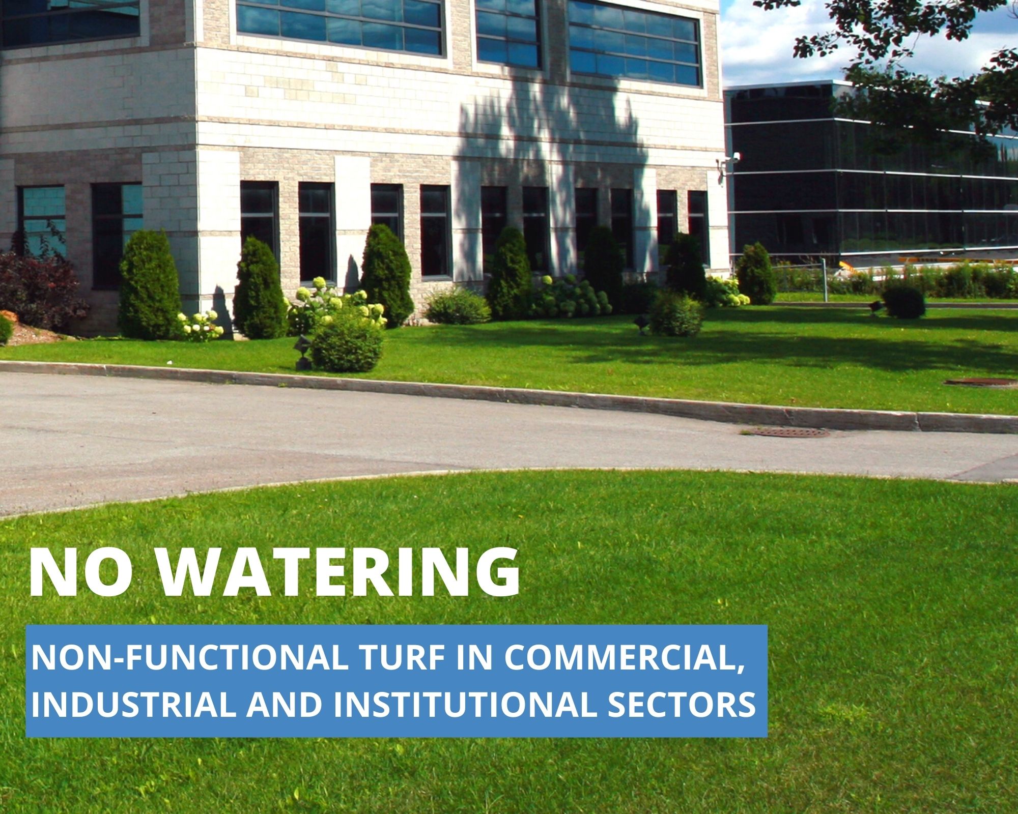 Glendale Water & Power on Twitter "Watering of nonfunctional turf is