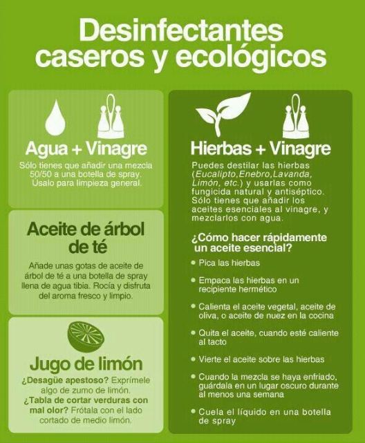 Val_Sustentable's tweet photo. #SustenTips | Hay desinfectantes 🧹🧼que podemos hacer fácilmente en casa 🏡 y además de ser ecológicos 🌳y prácticos 💁♀️💁♂️, son muy económicos💰. Aquí te compartimos algunos. https://t.co/5pfHGXLt6L