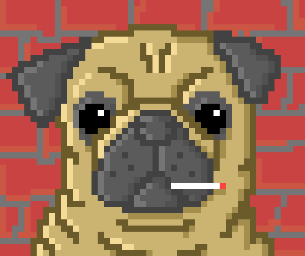 SupportPugClub tweet picture