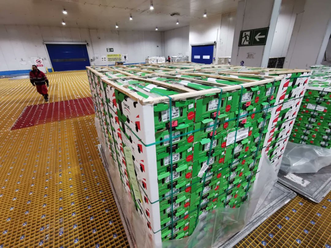 Controlc_chile's tweet image. Como Control Cargo Logistic ya nos estamos preparando para nuestra nueva temporada, ofreciéndole a nuestros clientes un servicios exclusivo logísticos para cargas sobredimensionadas, carga general, cargas peligrosa, cargas perecederas (respetando y manteniendo su cadena de frio)