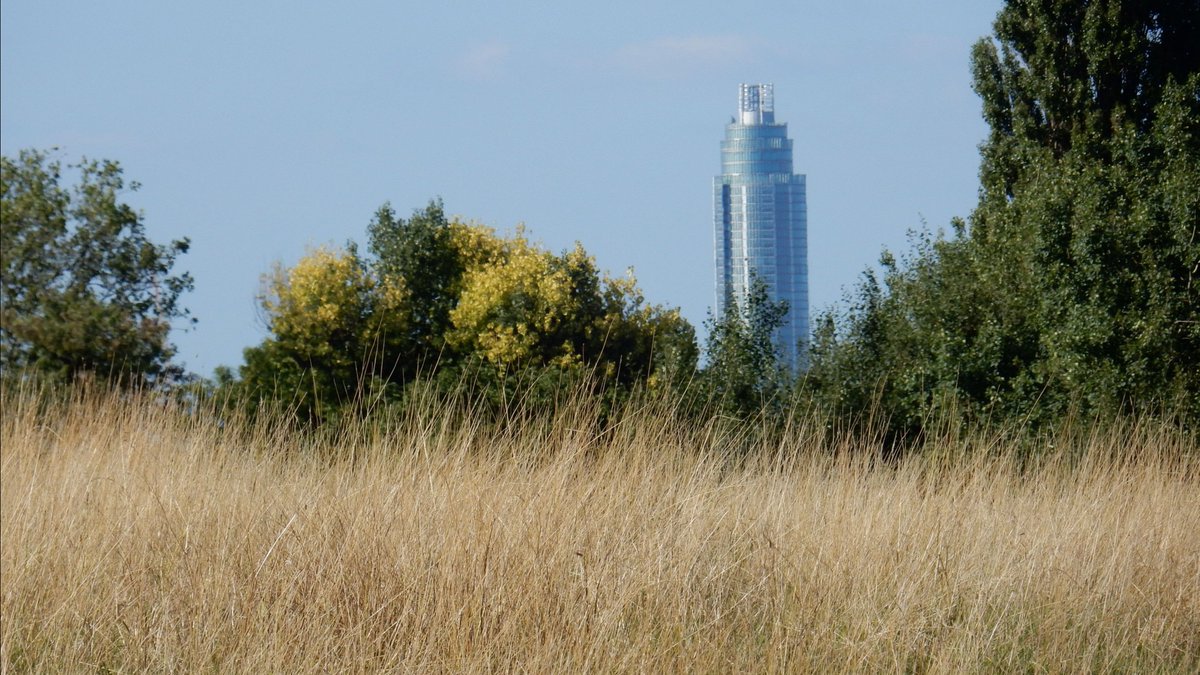 Brixton Neighbourhood Forum tweet media