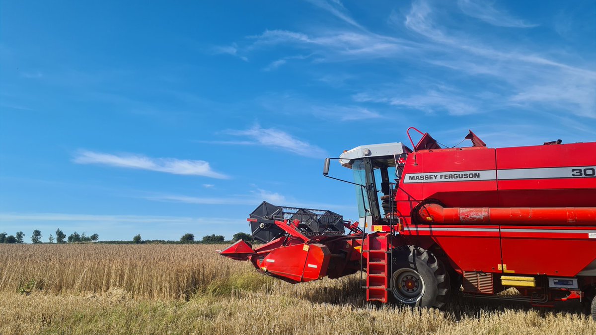 reggieroper's tweet photo. anyone got some advice on combine settings for spelt? Had some long straws getting into grain tank last year. sieves full open . concave wide and normal drum speed https://t.co/dCu0U9MZRu