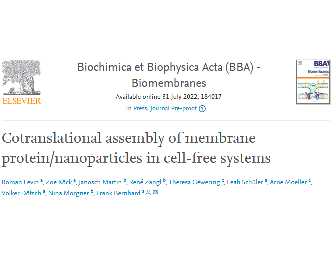 A new article is online! Congratulations to <a href="/romcomroms/">Roman Levin</a>, <a href="/ZoeKoeck/">Zoe Koeck</a> <a href="/DoetschVolker/">Volker Doetsch</a> <a href="/MoellerGroup/">Arne Moeller</a> for their great work and their collaboration with the Morgner lab!🥳🥂

@BBAjournals 
<a href="/ElsevierConnect/">Elsevier</a>