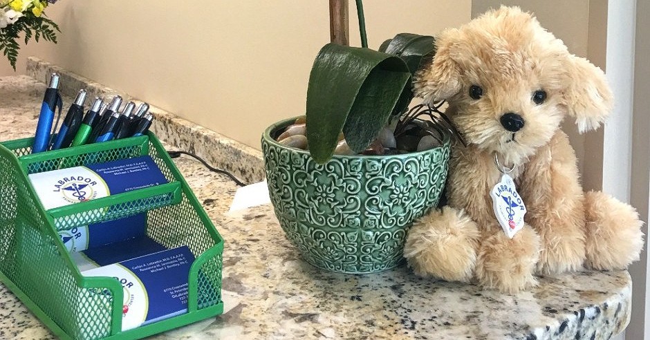 drlabradormd's tweet photo. Needles is always there to support our patients during their toughest times! (like filling out paperwork) 😇
#floridadoctor #stpetersburg #doctorsoffice https://t.co/wI8dguSMxE
