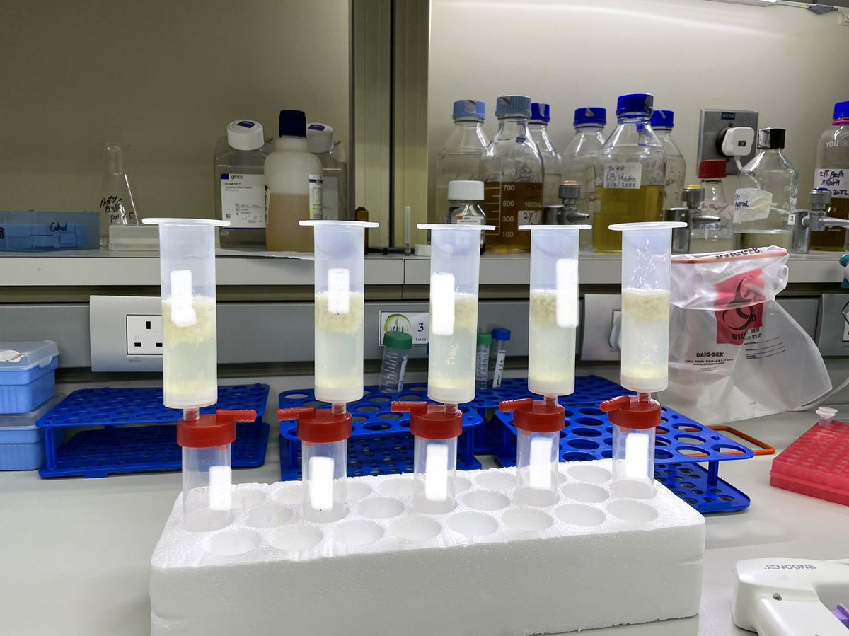 Next-Generation biologics.. #antibodyengineering