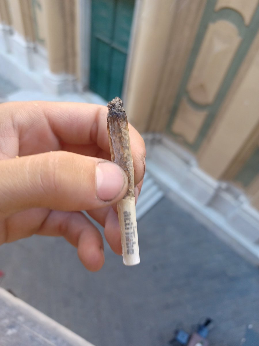 reflection pause😎💥
#Crypto #nft #nftjoint #web3 #Cryptopunk #actitube