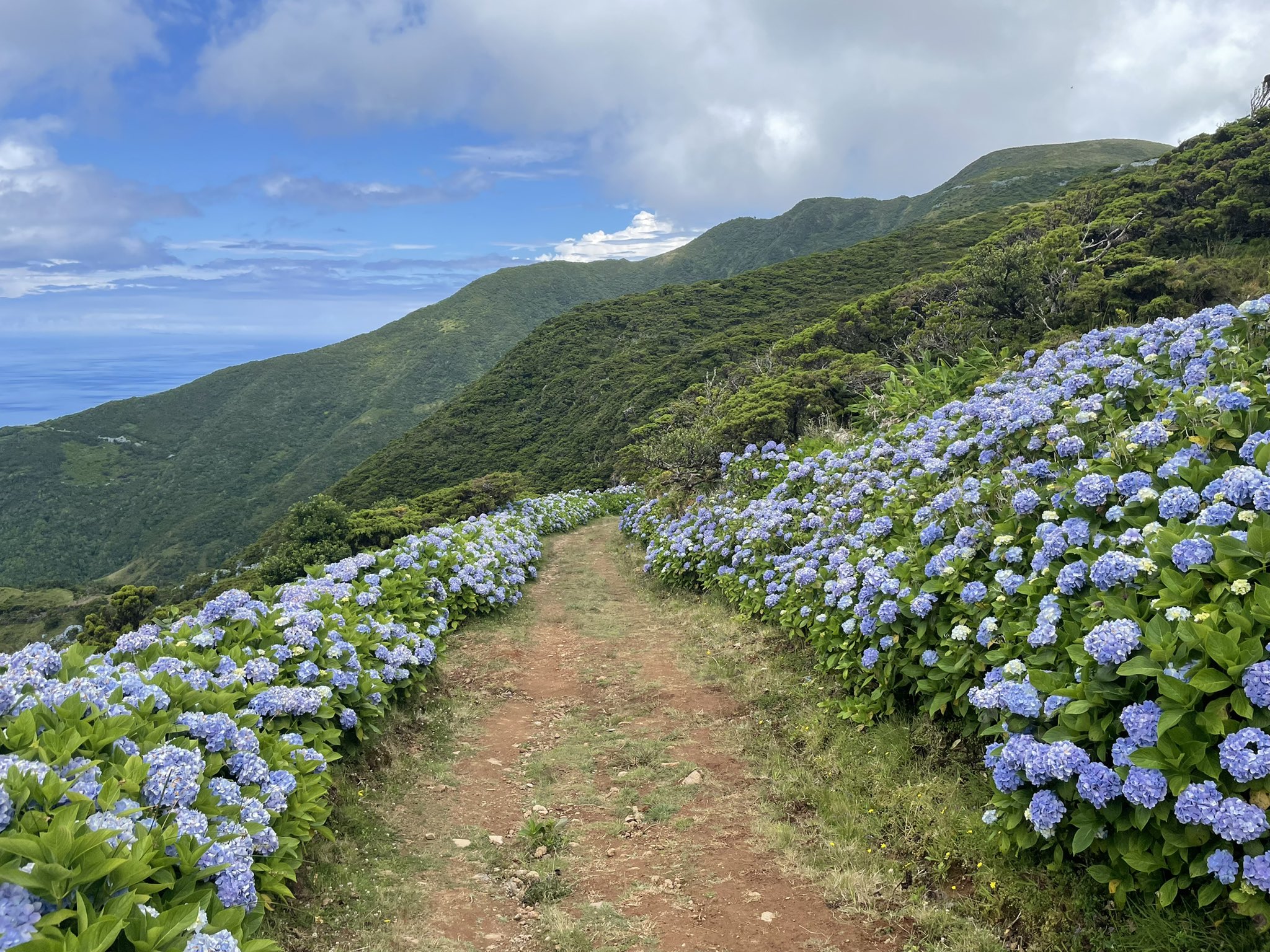 Christopher Hooks on Twitter "some other personal news after two and